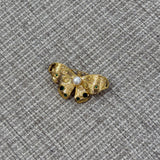 Broche Borboleta Dourada com Pérola